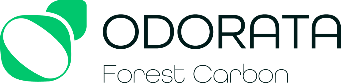Odorata Forest Carbon